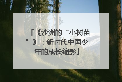 《沙洲的“小树苗”》：新时代中国少年的成长缩影