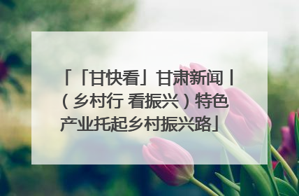 「甘快看」甘肃新闻丨（乡村行 看振兴）特色产业托起乡村振兴路