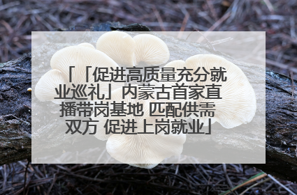 「促进高质量充分就业巡礼」内蒙古首家直播带岗基地 匹配供需双方 促进上岗就业