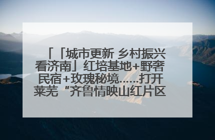 「城市更新 乡村振兴看济南」红培基地+野奢民宿+玫瑰秘境……打开莱芜“齐鲁情映山红片区”的破圈秘籍