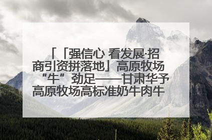 「强信心 看发展·招商引资拼落地」高原牧场“牛”劲足——甘肃华予高原牧场高标准奶牛肉牛养殖项目一线见闻