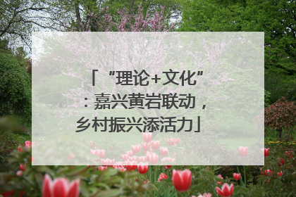 “理论+文化”：嘉兴黄岩联动，乡村振兴添活力