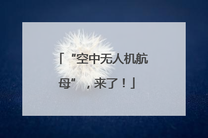 “空中无人机航母”，来了！
