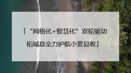 “网格化+智慧化”双轮驱动 柘城县全力护航小麦夏收