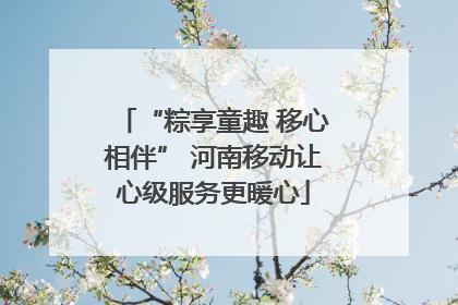 “粽享童趣 移心相伴” 河南移动让心级服务更暖心