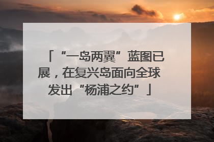 “一岛两翼”蓝图已展，在复兴岛面向全球发出“杨浦之约”