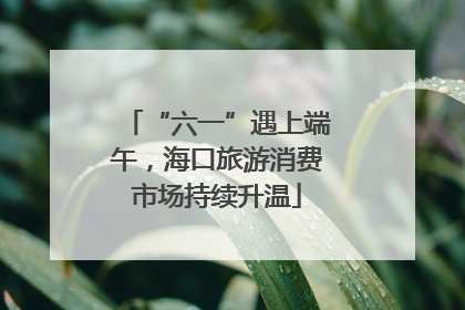 “六一”遇上端午，海口旅游消费市场持续升温