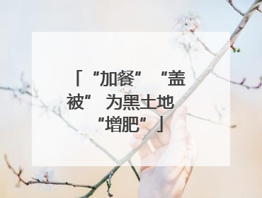 “加餐”“盖被” 为黑土地“增肥”