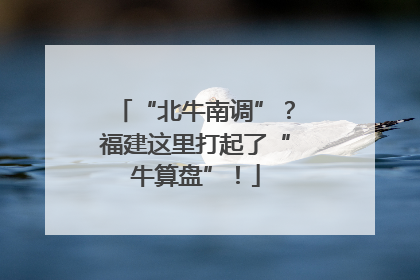 “北牛南调”？福建这里打起了“牛算盘”！