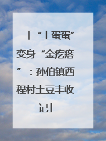 “土蛋蛋”变身“金疙瘩”：孙伯镇西程村土豆丰收记