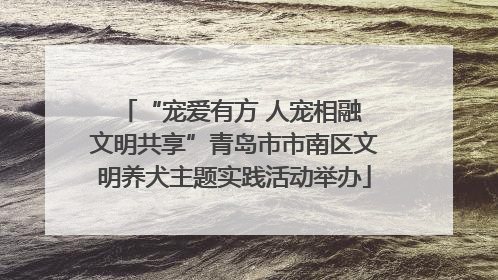 “宠爱有方 人宠相融 文明共享”青岛市市南区文明养犬主题实践活动举办