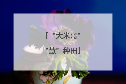 “大米哥”“慧”种田
