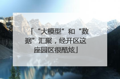 “大模型”和“数据”汇聚，经开区这座园区很酷炫