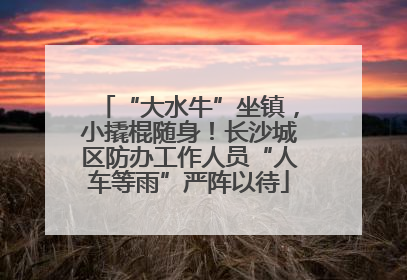 “大水牛”坐镇，小撬棍随身！长沙城区防办工作人员“人车等雨”严阵以待