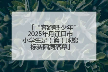 “奔跑吧·少年”2025年丹江口市小学生足（篮）球锦标赛圆满落幕
