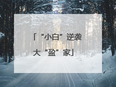“小白”逆袭大“盈”家