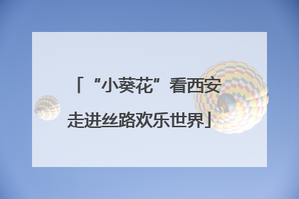 “小葵花”看西安走进丝路欢乐世界