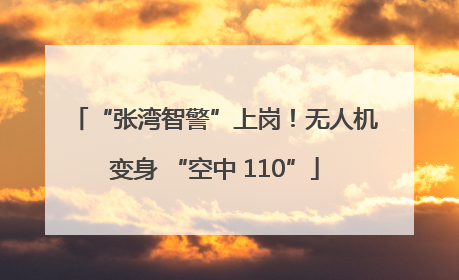 “张湾智警”上岗！无人机变身 “空中 110”