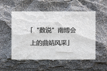 “数说”南博会上的曲靖风采
