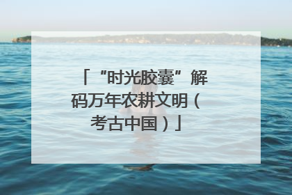 “时光胶囊”解码万年农耕文明（考古中国）