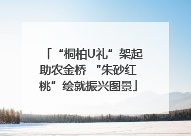 “桐柏U礼”架起助农金桥 “朱砂红桃”绘就振兴图景