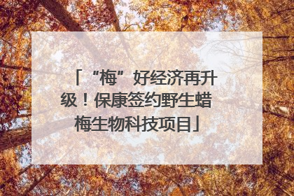 “梅”好经济再升级！保康签约野生蜡梅生物科技项目