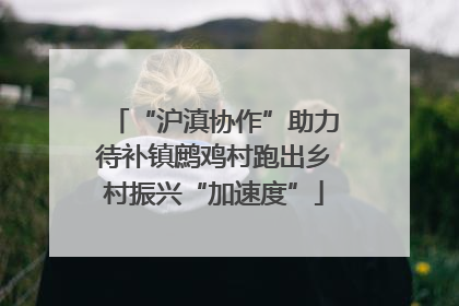 “沪滇协作”助力待补镇鹧鸡村跑出乡村振兴“加速度”