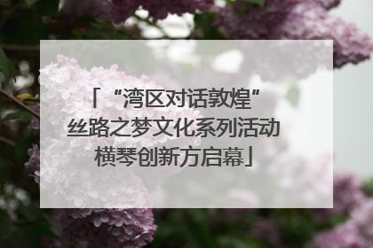 “湾区对话敦煌” 丝路之梦文化系列活动横琴创新方启幕