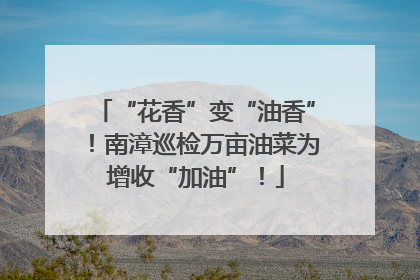 “花香”变“油香”！南漳巡检万亩油菜为增收“加油”！