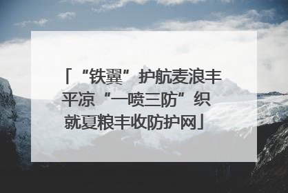 “铁翼”护航麦浪丰 平凉“一喷三防”织就夏粮丰收防护网