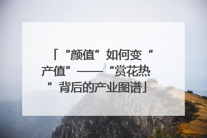 “颜值”如何变“产值”——“赏花热”背后的产业图谱