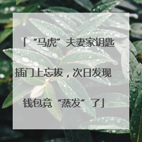 “马虎”夫妻家钥匙插门上忘拔，次日发现钱包竟“蒸发”了
