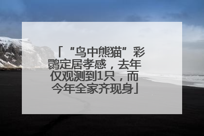 “鸟中熊猫”彩鹮定居孝感，去年仅观测到1只，而今年全家齐现身