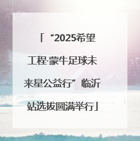 “2025希望工程·蒙牛足球未来星公益行”临沂站选拔圆满举行