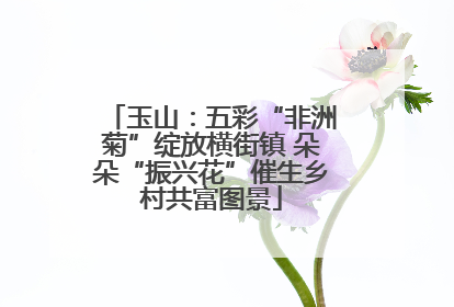 玉山：五彩“非洲菊”绽放横街镇 朵朵“振兴花”催生乡村共富图景