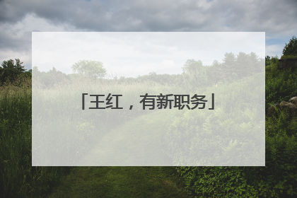 王红，有新职务