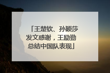王楚钦、孙颖莎发文感谢，王励勤总结中国队表现