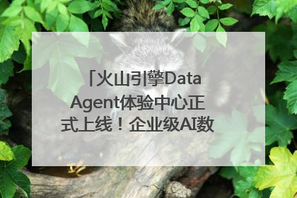 火山引擎Data Agent体验中心正式上线！企业级AI数据专家触手可及
