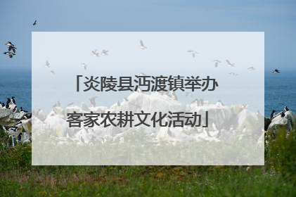 炎陵县沔渡镇举办客家农耕文化活动