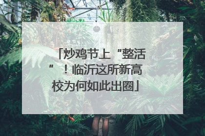 炒鸡节上“整活”！临沂这所新高校为何如此出圈