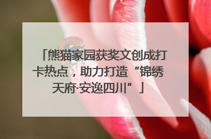 熊猫家园获奖文创成打卡热点，助力打造“锦绣天府·安逸四川”