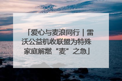 爱心与麦浪同行｜雷沃公益机收联盟为特殊家庭解燃“麦”之急