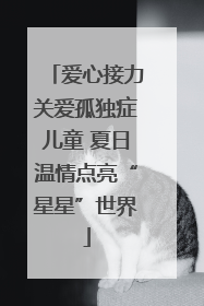 爱心接力关爱孤独症儿童 夏日温情点亮“星星”世界