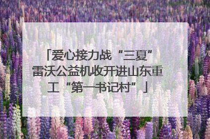 爱心接力战“三夏” 雷沃公益机收开进山东重工“第一书记村”