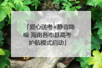爱心送考+静音降噪 海南各市县高考护航模式启动