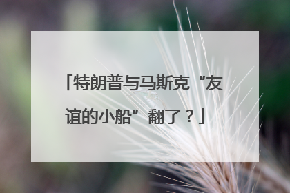特朗普与马斯克“友谊的小船”翻了？