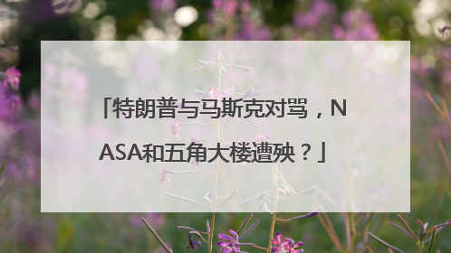 特朗普与马斯克对骂，NASA和五角大楼遭殃？