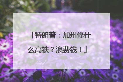 特朗普：加州修什么高铁？浪费钱！