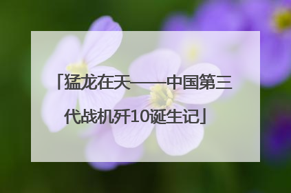 猛龙在天——中国第三代战机歼10诞生记