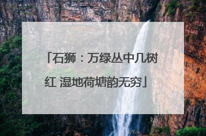 石狮：万绿丛中几树红 湿地荷塘韵无穷